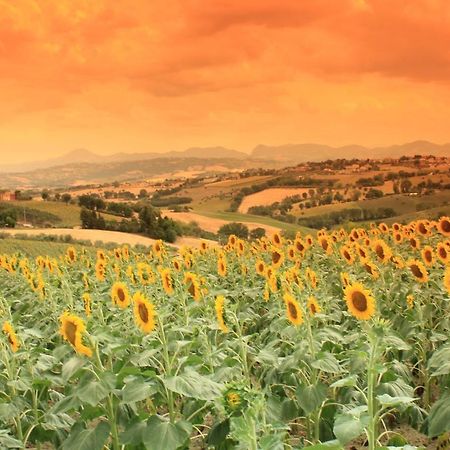Casa Vacanze Angelica Ostra Vetere Luaran gambar