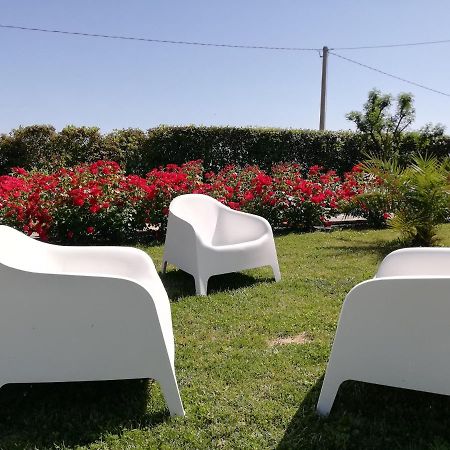 Casa Vacanze Angelica Ostra Vetere Luaran gambar