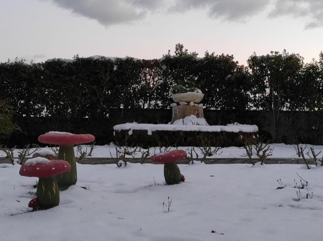 Casa Vacanze Angelica Ostra Vetere Luaran gambar