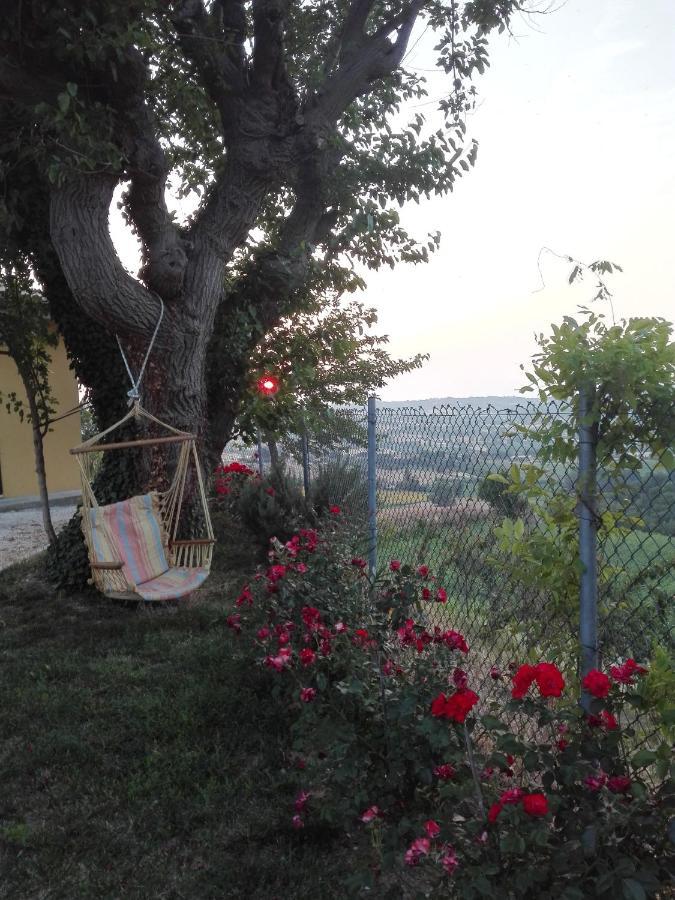 Casa Vacanze Angelica Ostra Vetere Luaran gambar