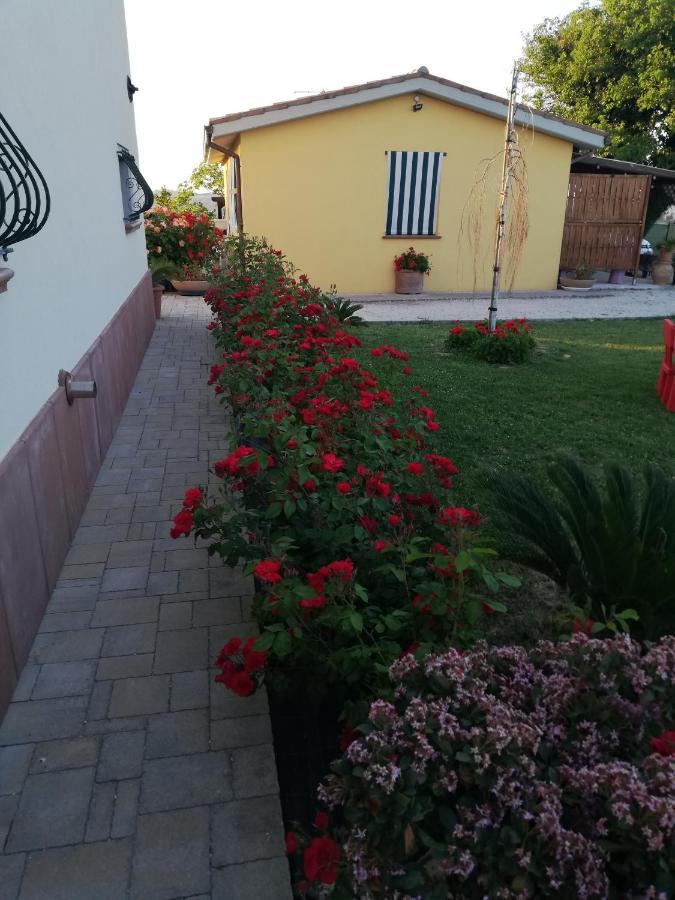 Casa Vacanze Angelica Ostra Vetere Luaran gambar