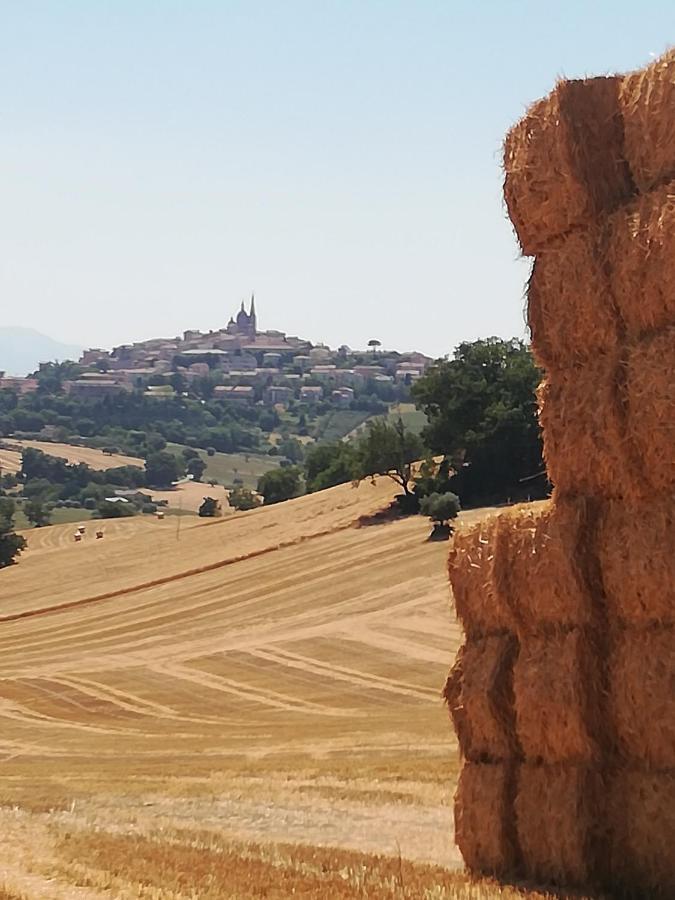 Casa Vacanze Angelica Ostra Vetere Luaran gambar