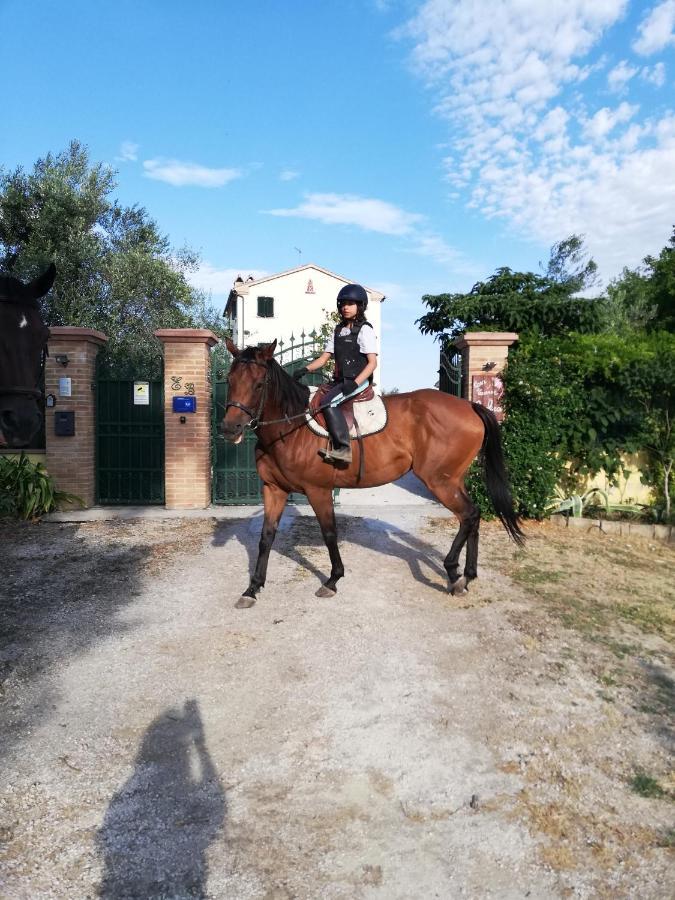 Casa Vacanze Angelica Ostra Vetere Luaran gambar